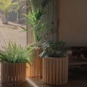 Wooden planter with lush green foliage
