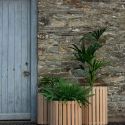 man stood next wood plants